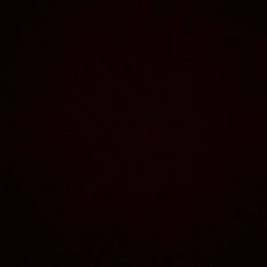 Meet your Posher, Kenzie